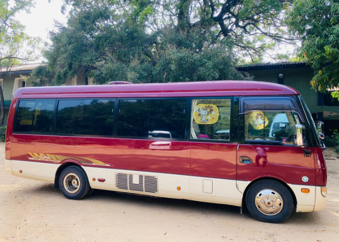 bus